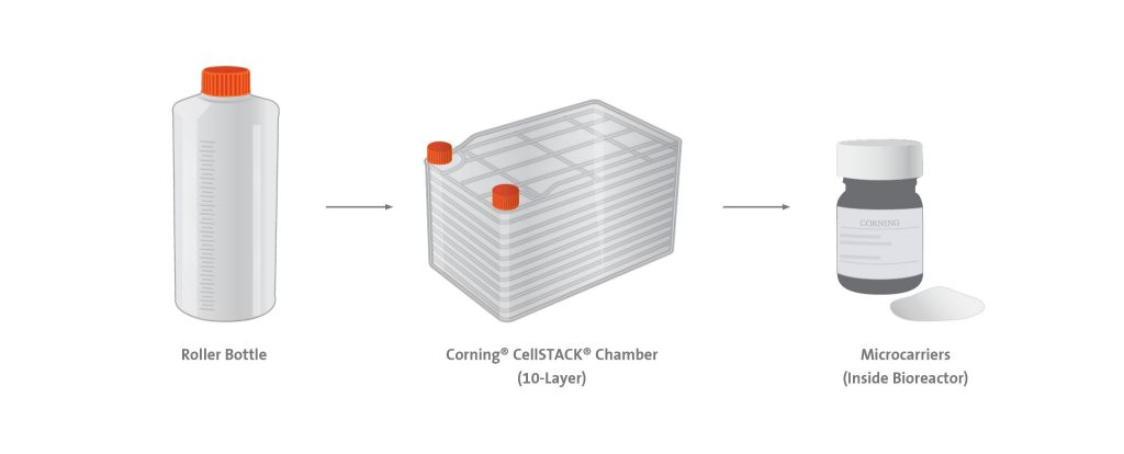 Vaccine Manufacturing | Corning