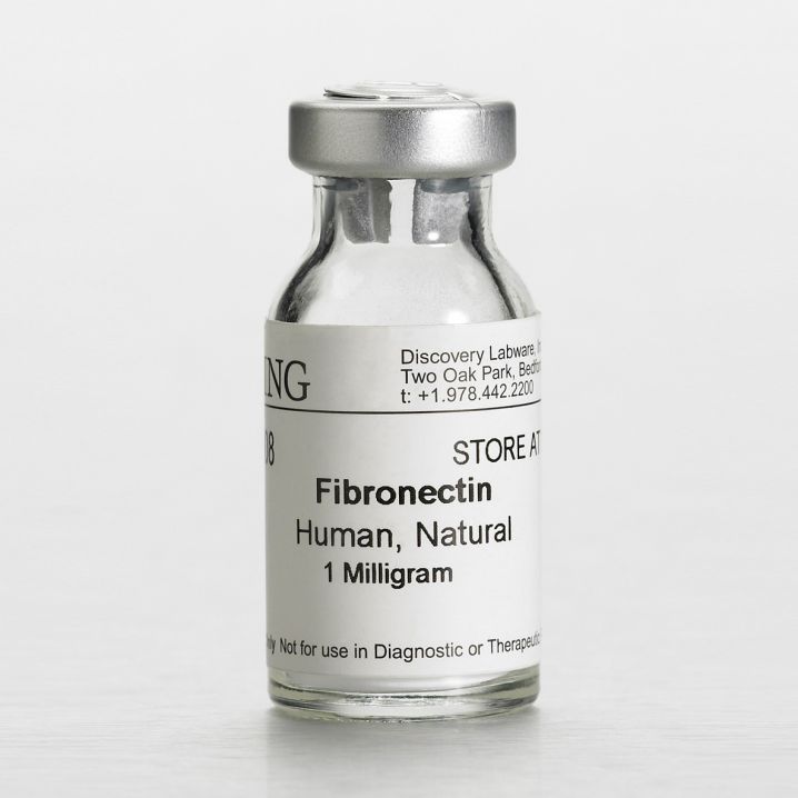 Fibronectin