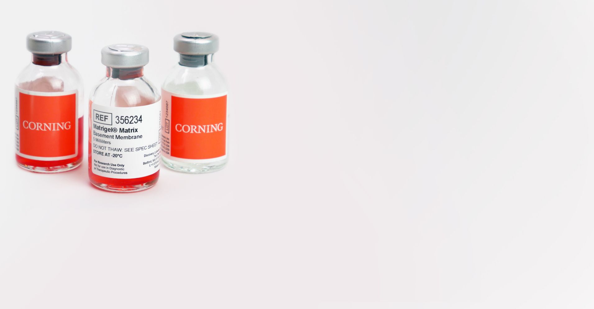 Cell Culture Surfaces Cell Culture Environment Corning